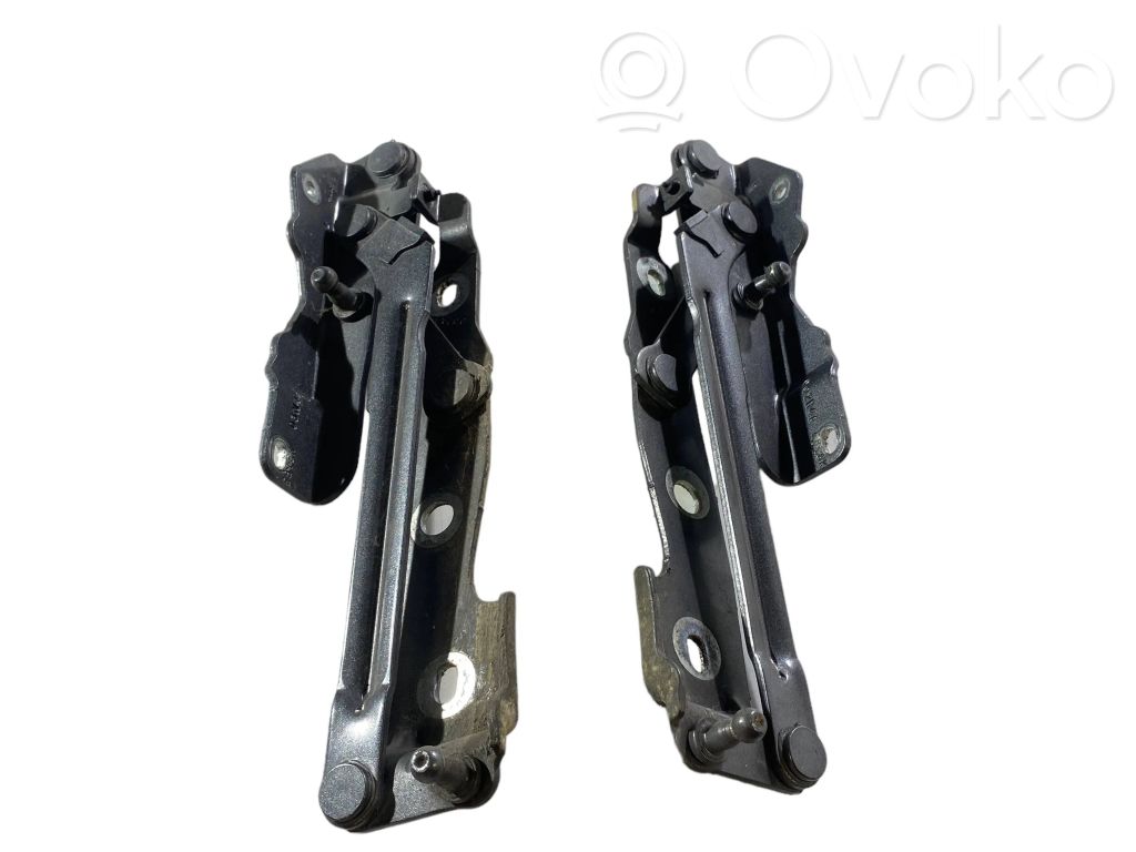 Ford Mustang V Tailgate/trunk/boot hinge 