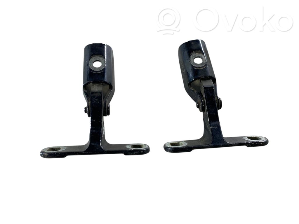 Tailgate/trunk/boot hinge   14187910,633071294