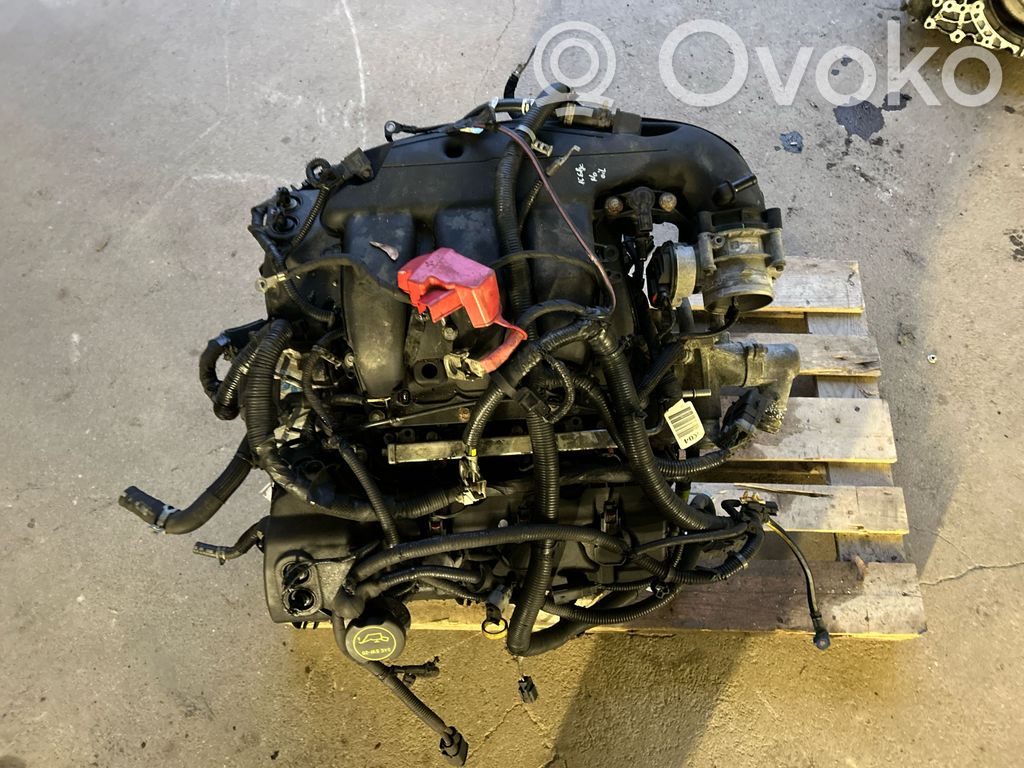 Ford Edge II Motor 