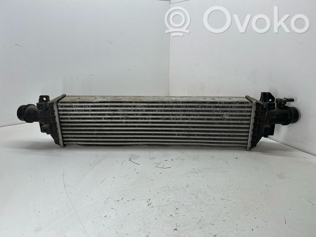 Interkūlerio radiatorius   95406939,8L01CJ
