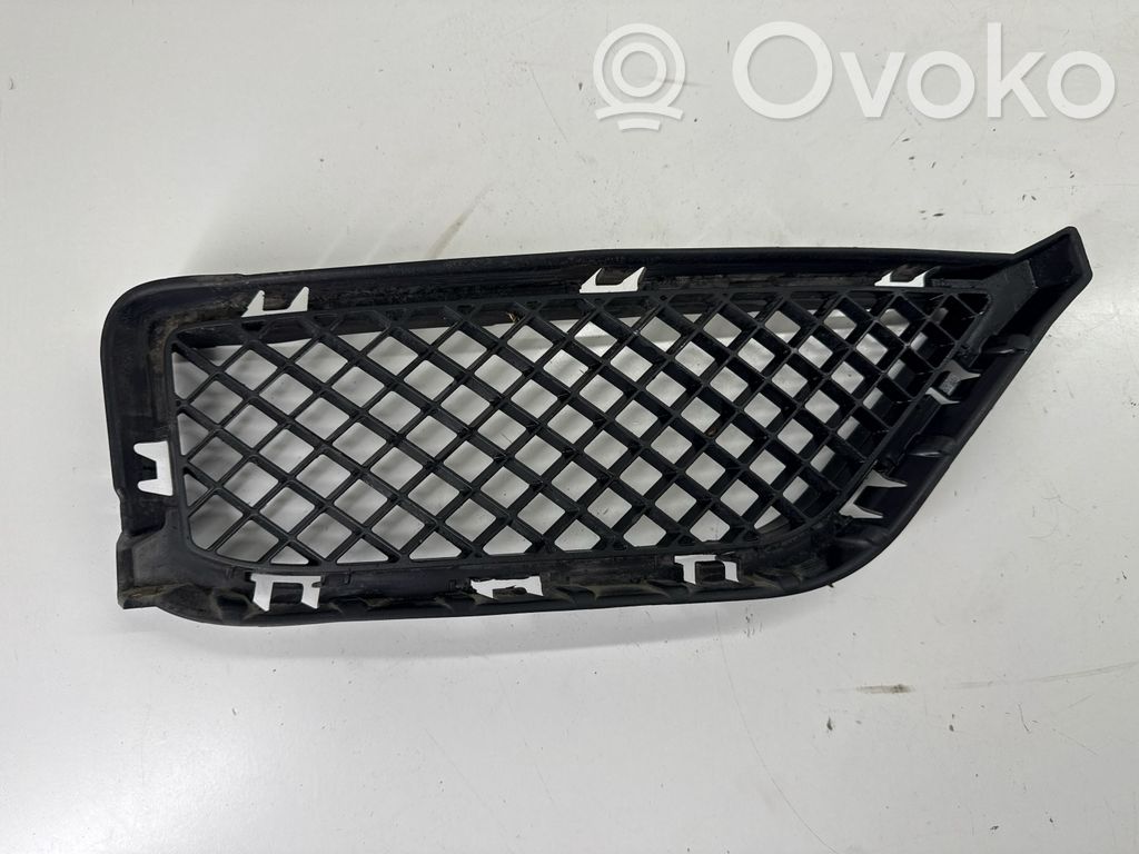 BMW X1 E84 Front grill 
