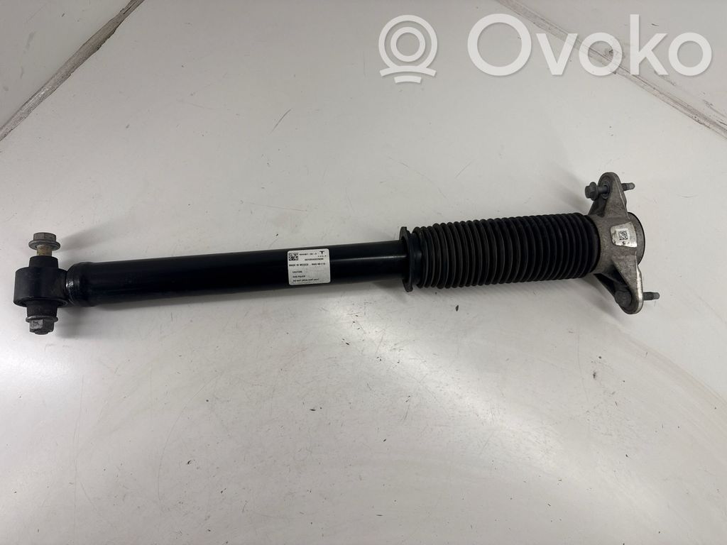 Tesla Model 3 Galinis amortizatorius 