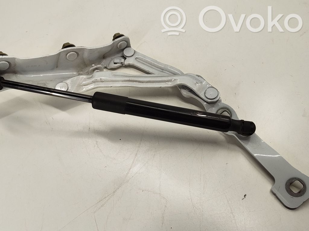 Tesla Model 3 Tailgate/trunk/boot hinge 