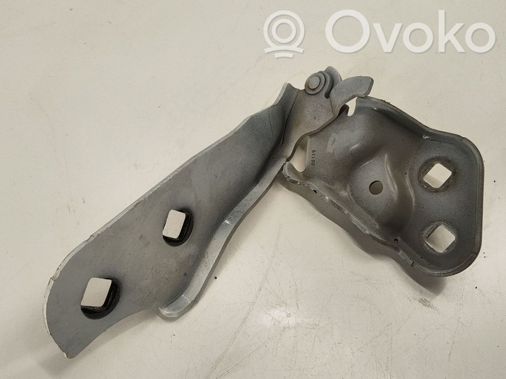 Tesla Model 3 Engine bonnet/hood hinges 