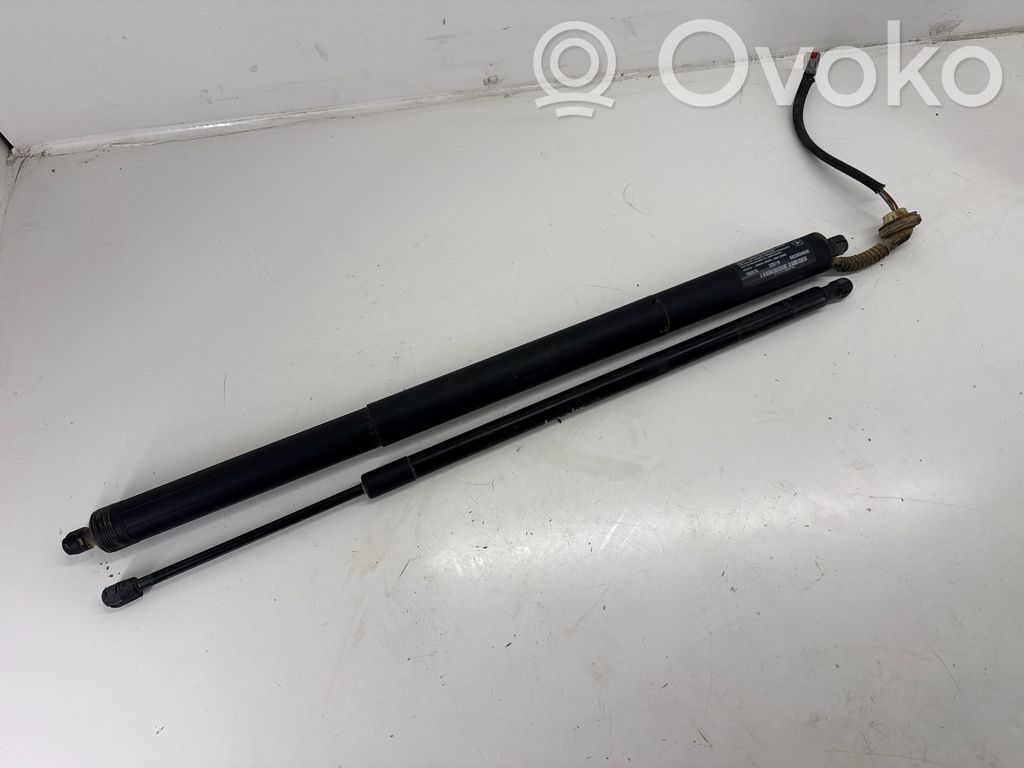 Chrysler Pacifica Bagāžnieka amortizators 