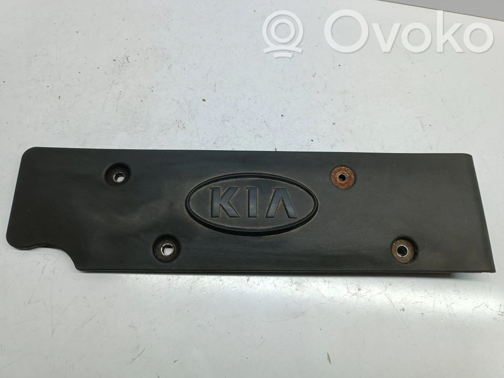 Cubierta del motor (embellecedor)   224052B010