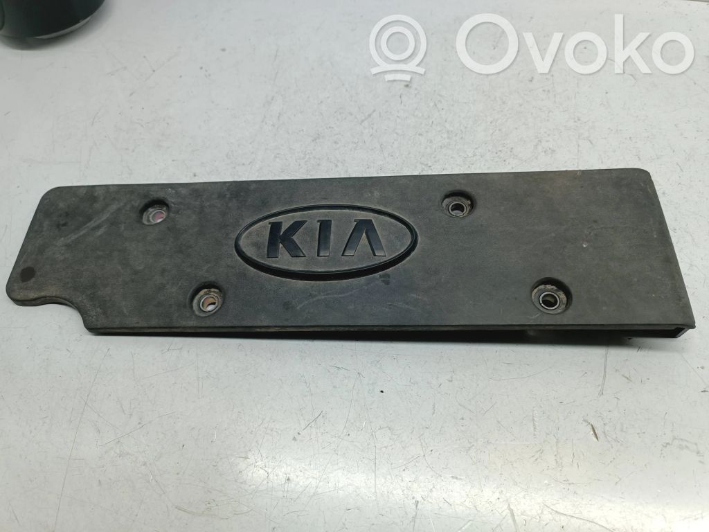 Engine cover (trim)   224052B010