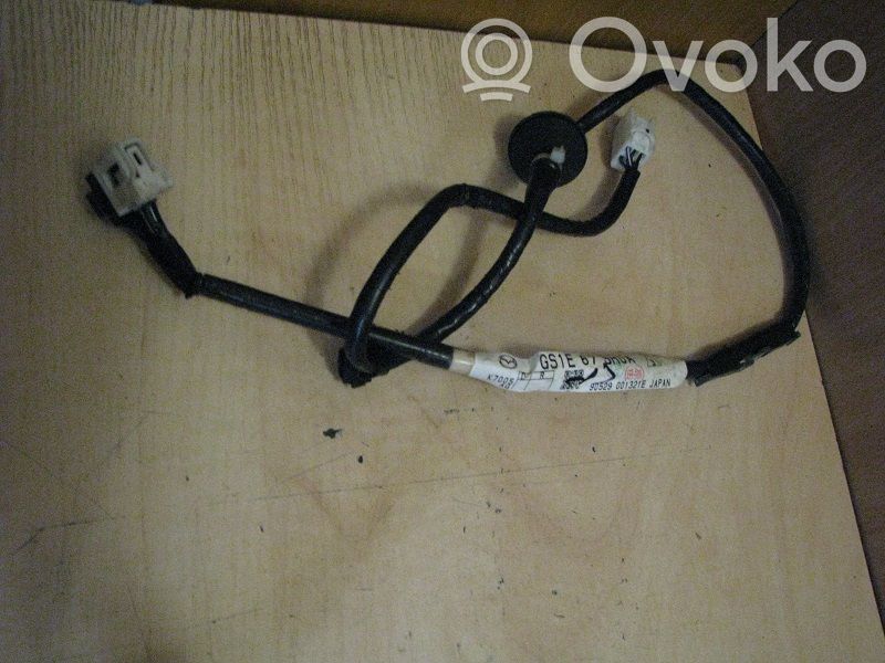 Front door wiring loom