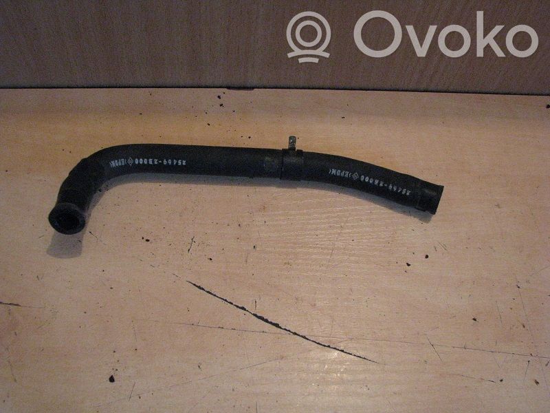 Engine coolant pipe/hose