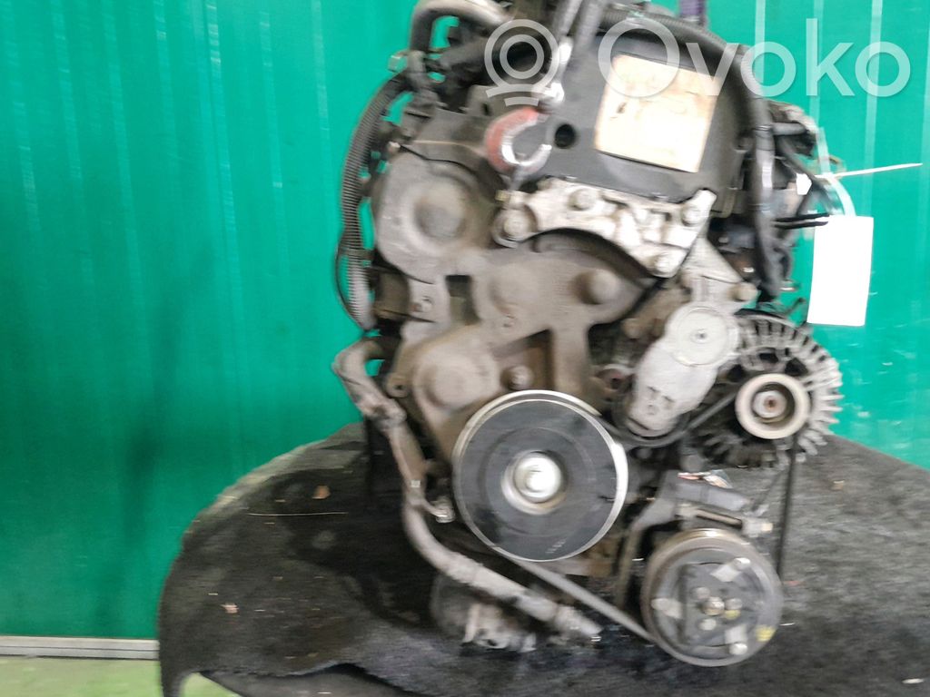 Motor