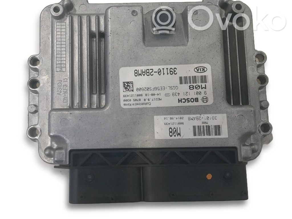 Engine control unit/module   391102BAM8