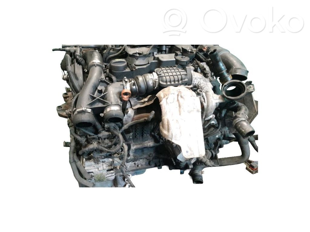 Motor