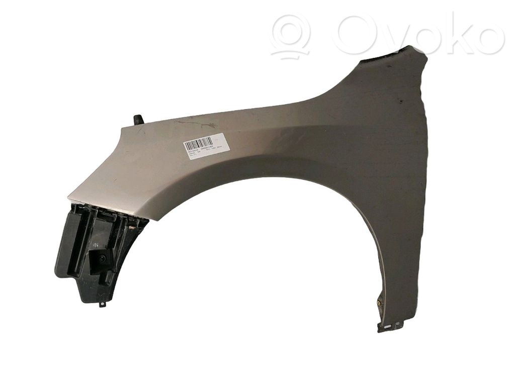 Guardabarro   31352073
