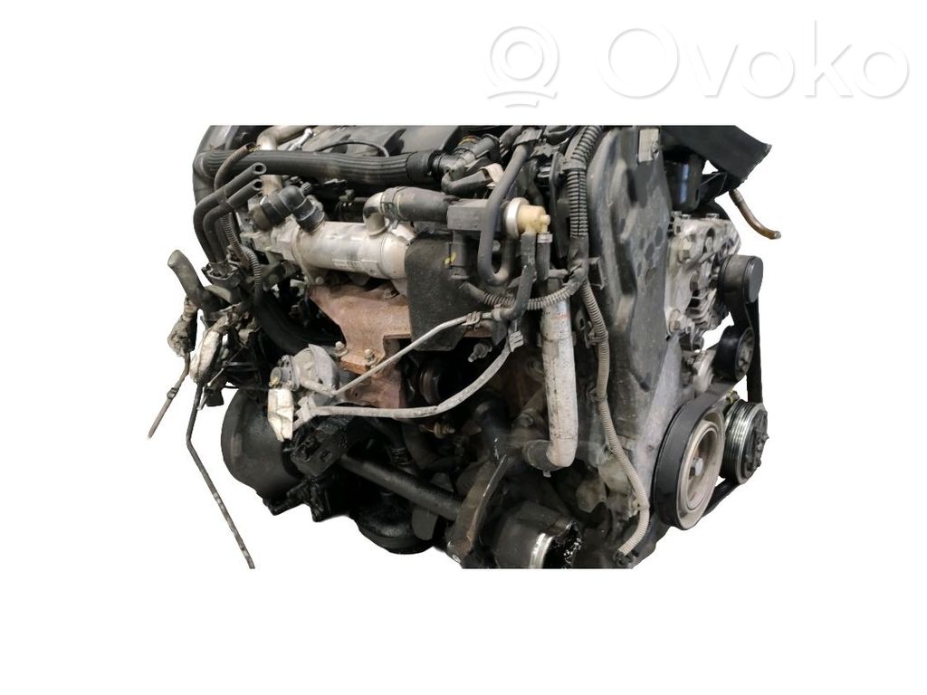 Motor   0135QG