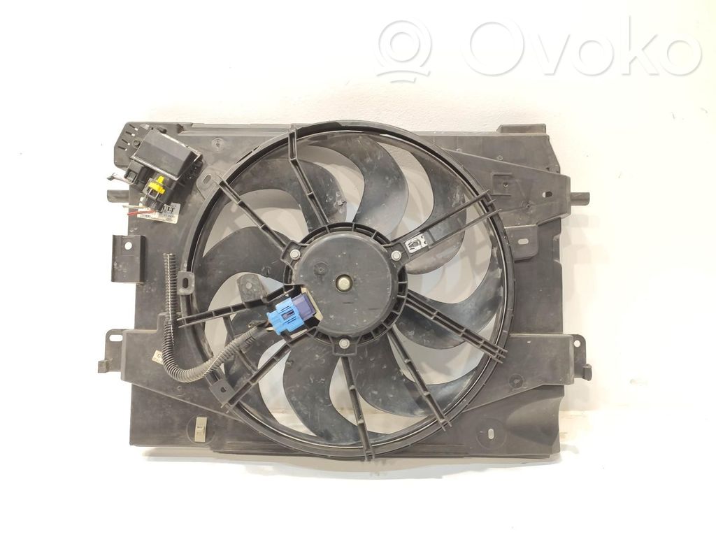 Elektrolüfter   214818009R