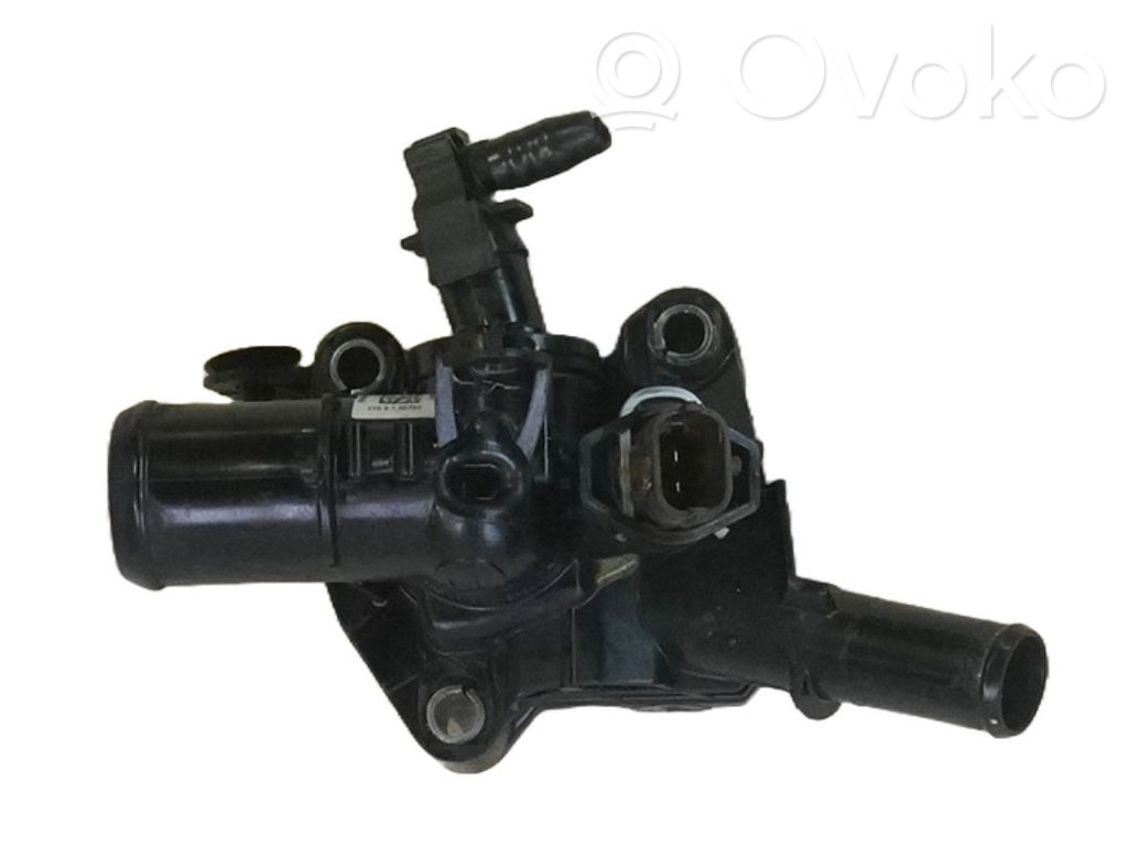 Termostato   00463411560