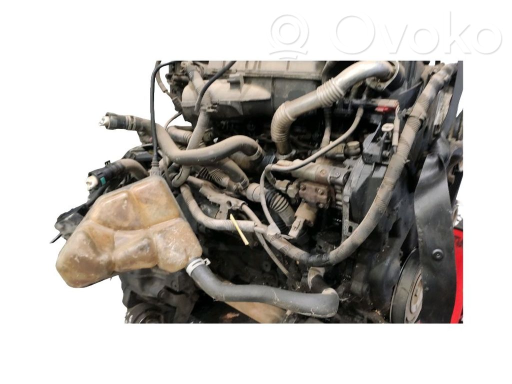 Motor