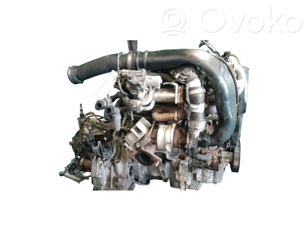 Motor
