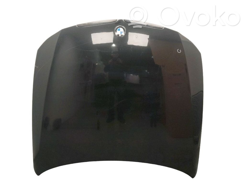 Capó/tapa del motor   41617140729