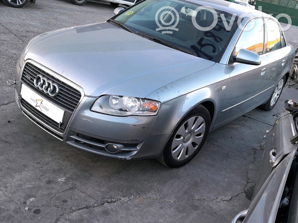 Audi A4 S4 B7 8E 8H Alzacristalli della portiera anteriore con motorino