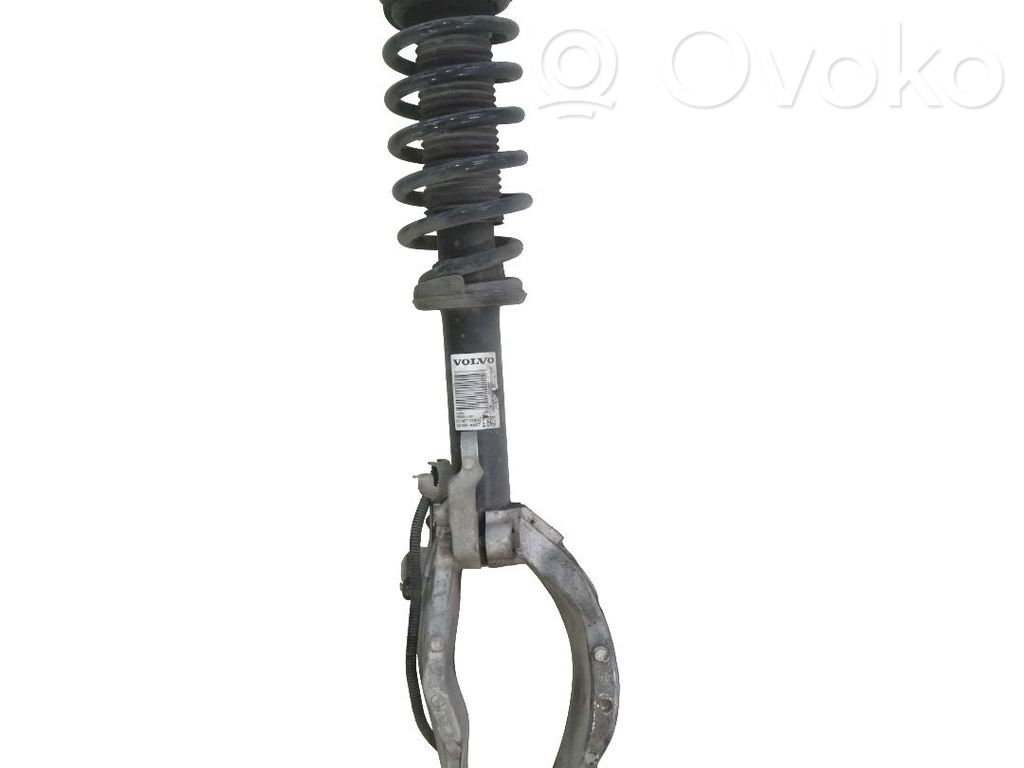 Amortyzator przedni   31658079