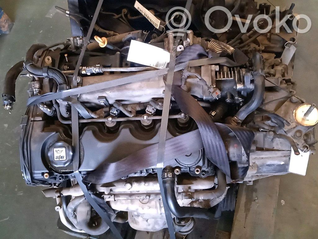 Fiat Stilo Motor 