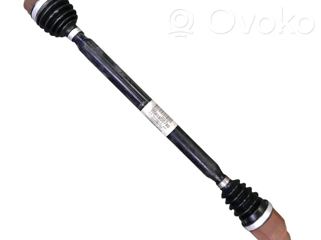 Achsschenkel vorne   9801388780