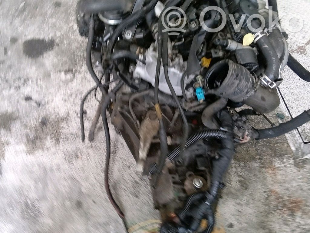 Citroen Xsara Compressore aria condizionata (A/C) (pompa)