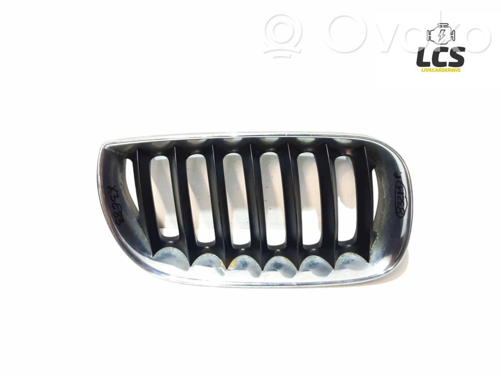 BMW X3 E83 Front grill 