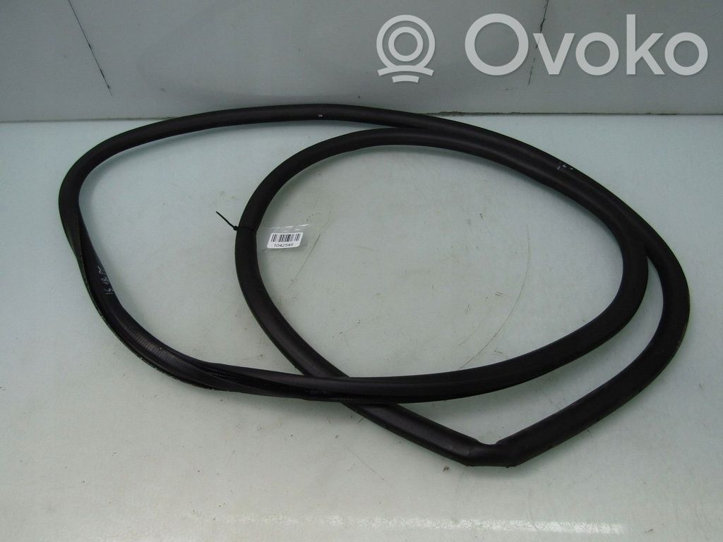 Lexus IS III XE30 Rubber seal rear door 