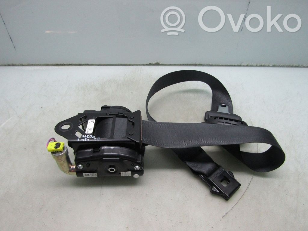Cinturón delantero   BGJ350087K,19R,BP,PRAWY