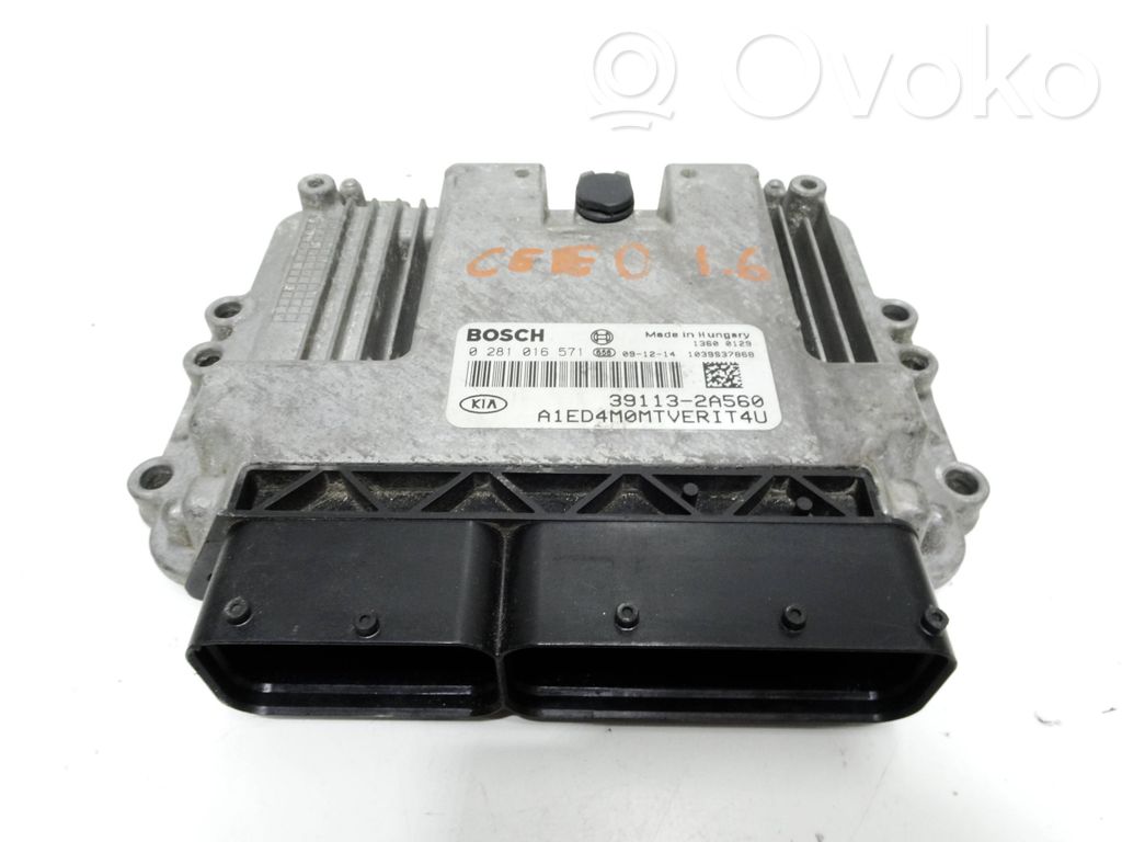 Unidad de control/módulo del motor   0281016571,391132A560,1039S37868