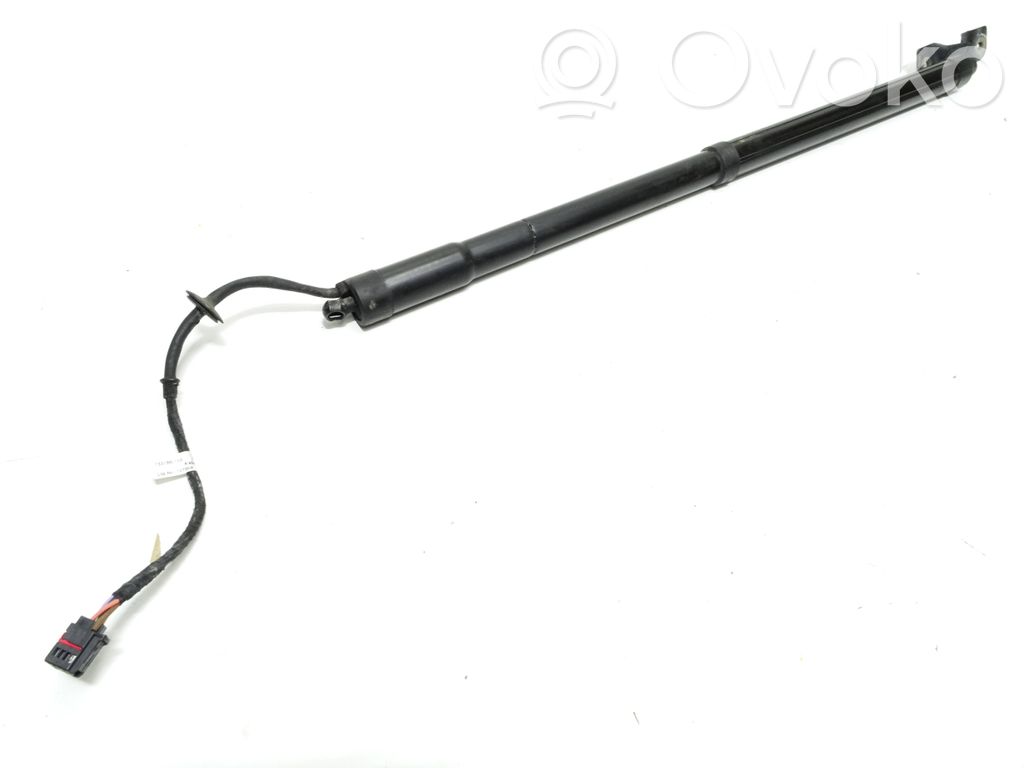 Ford C-MAX II Tailgate/trunk strut/damper 