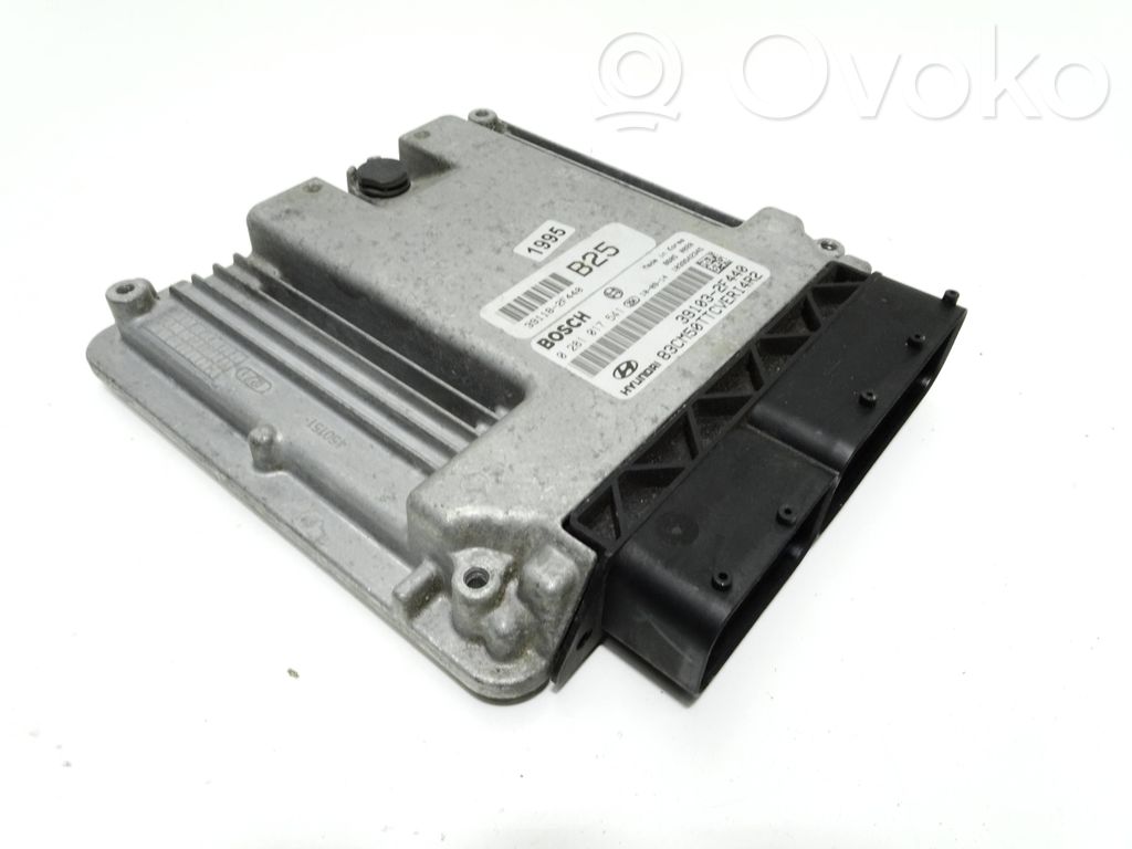 Hyundai Santa Fe Engine control unit/module 