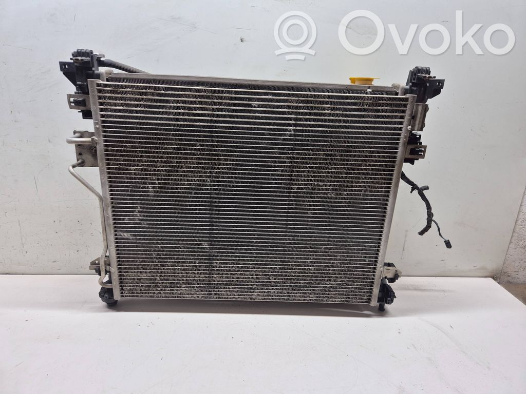 Dodge Grand Caravan Radiator set 