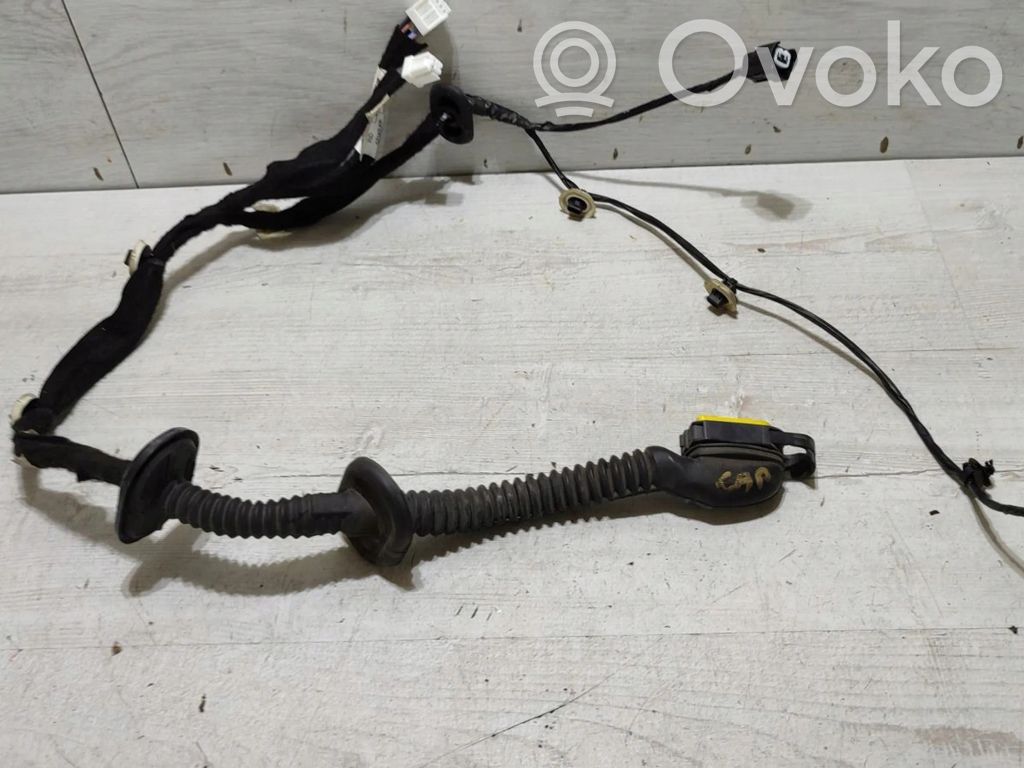 Cableado de puerta trasera   241267070R
