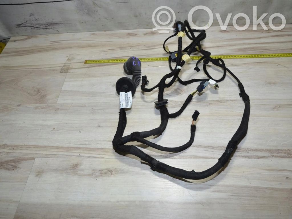 Citroen C5 Cableado de puerta delantera 
