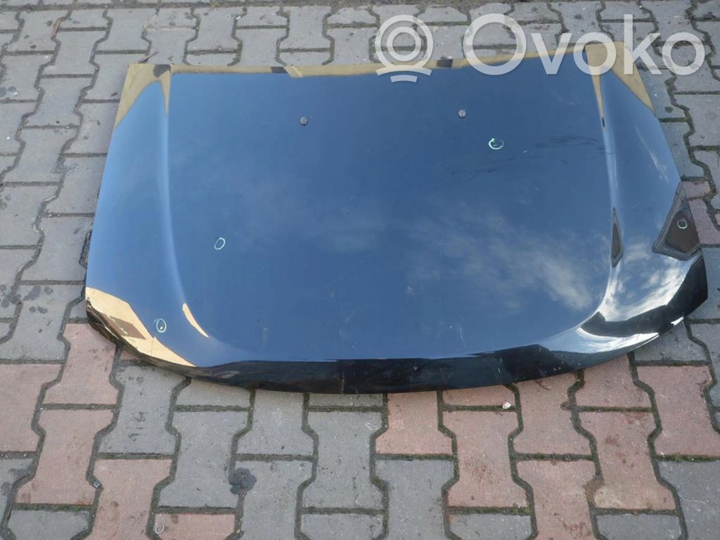 Capó/tapa del motor   9930