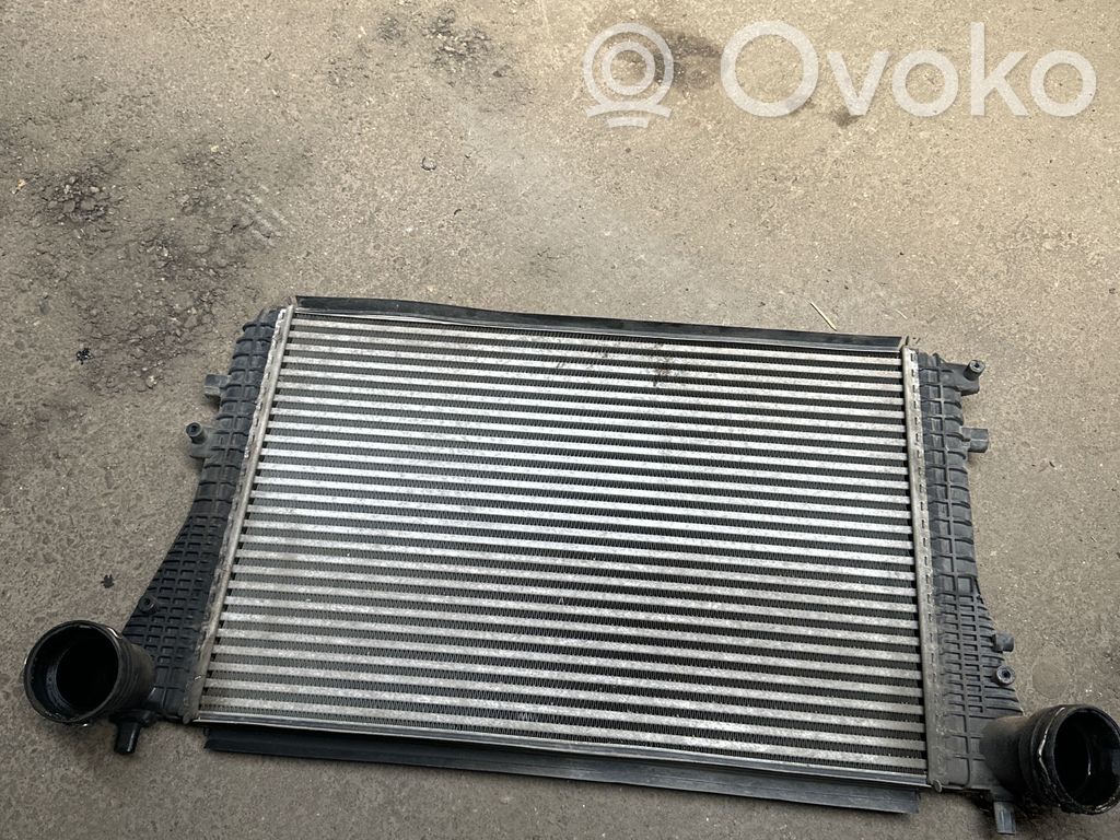 Volkswagen Golf V Radiatore intercooler 