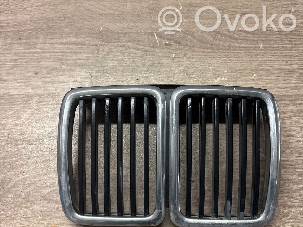 Front grill   51131945877