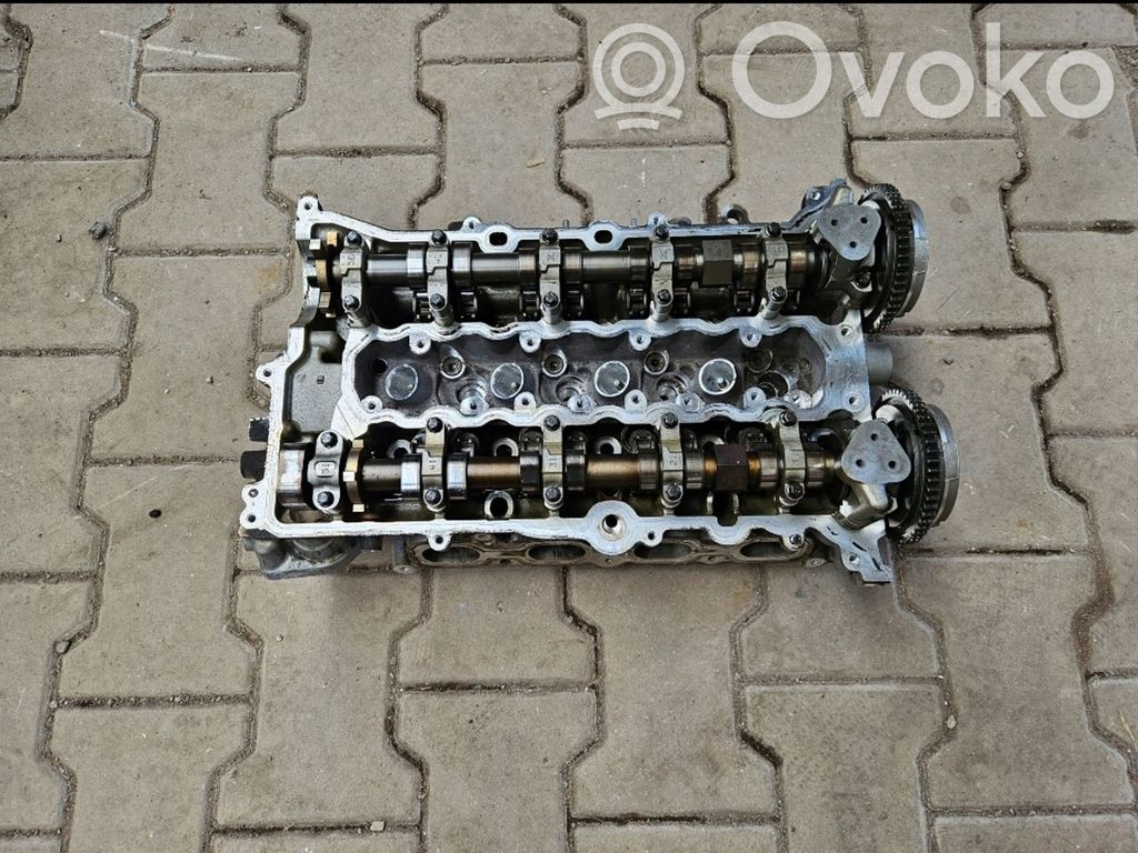 Galvutė   12675094