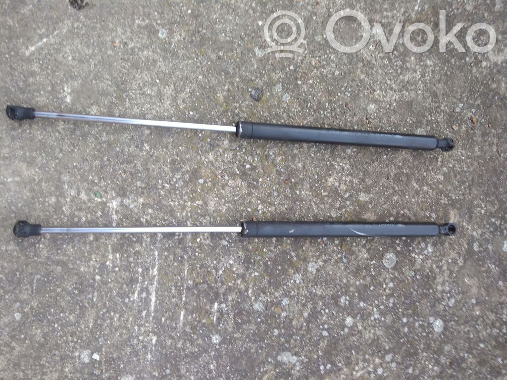Tailgate/trunk strut/damper