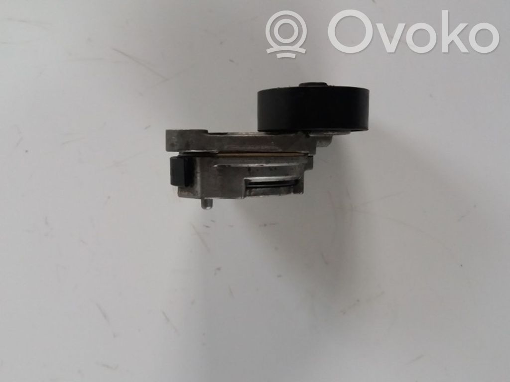 Volvo S80 Tendicinghia generatore/alternatore 