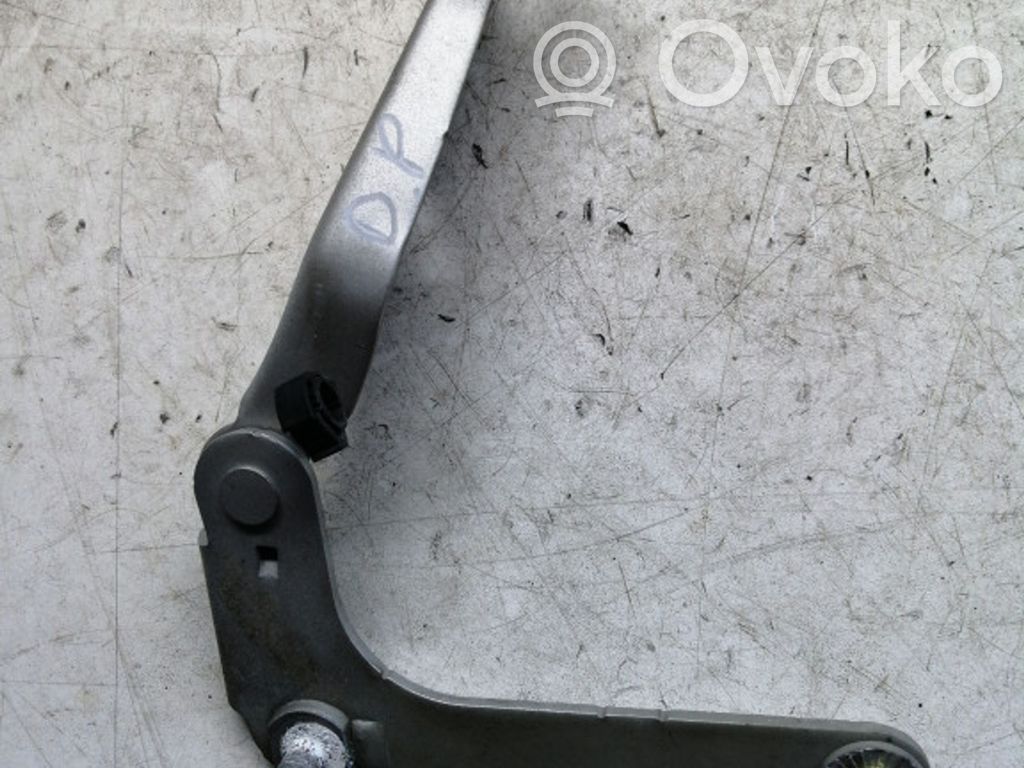 Ford C-MAX I Engine bonnet/hood hinges 