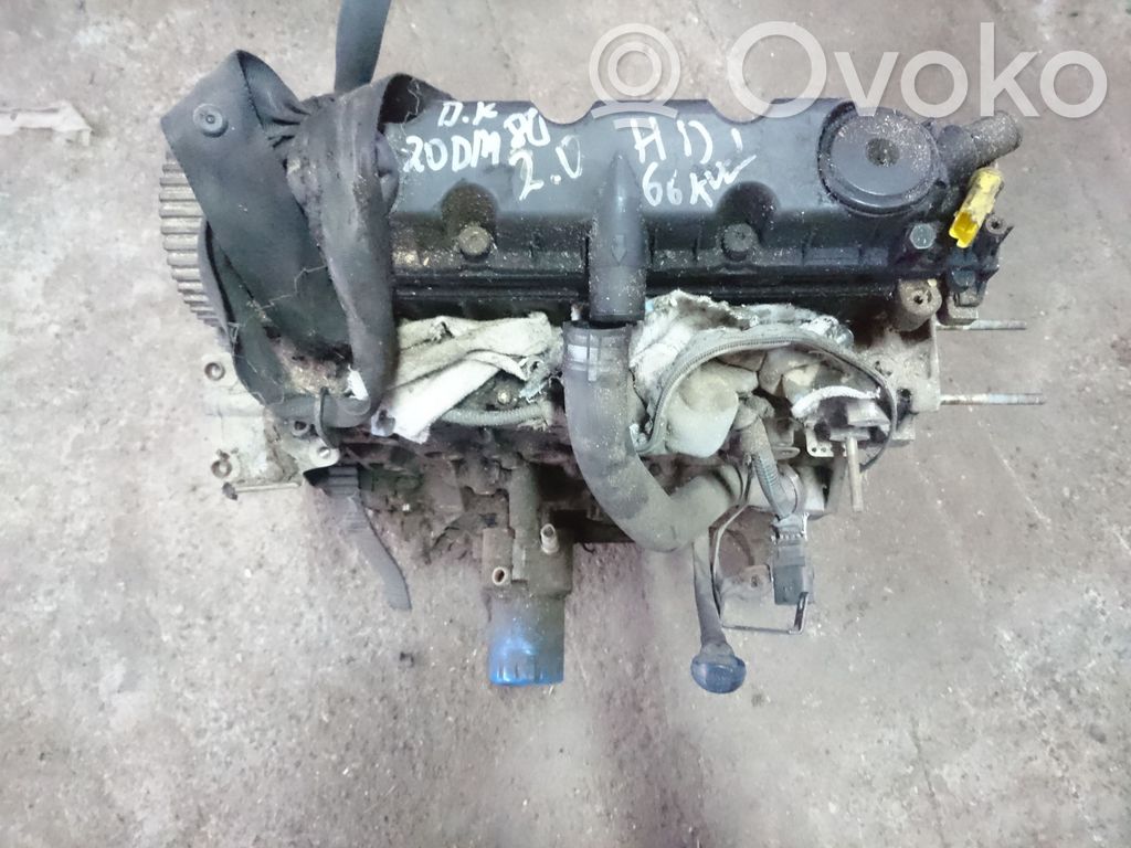 Motor   10DYLH