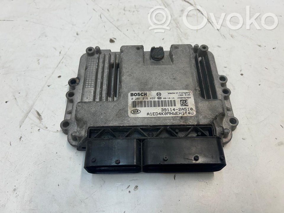 Unidad de control/módulo del motor   391142A510,446177