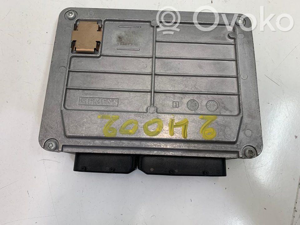 Sterownik / Moduł ECU   03G997056HV,213199