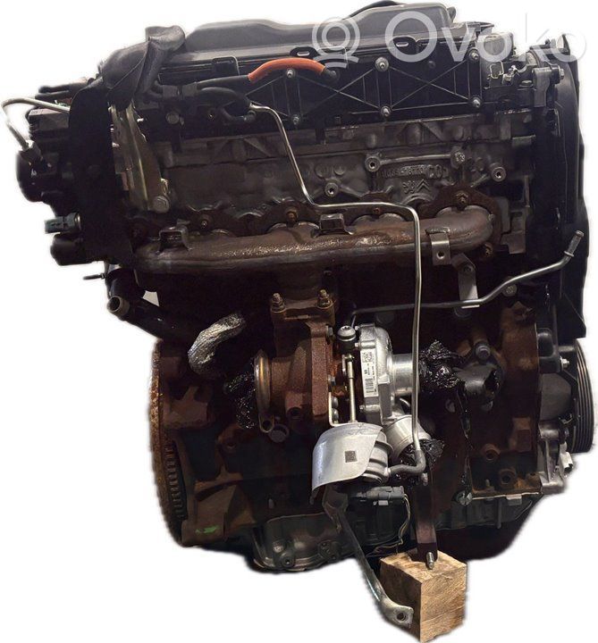Ford Focus Motor completo 
