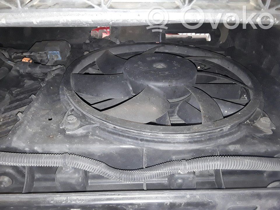 Citroen C4 II Alte dispozitive 