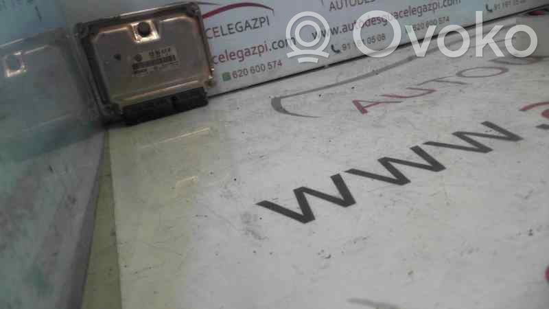 Engine control unit/module   038906019AF,155551